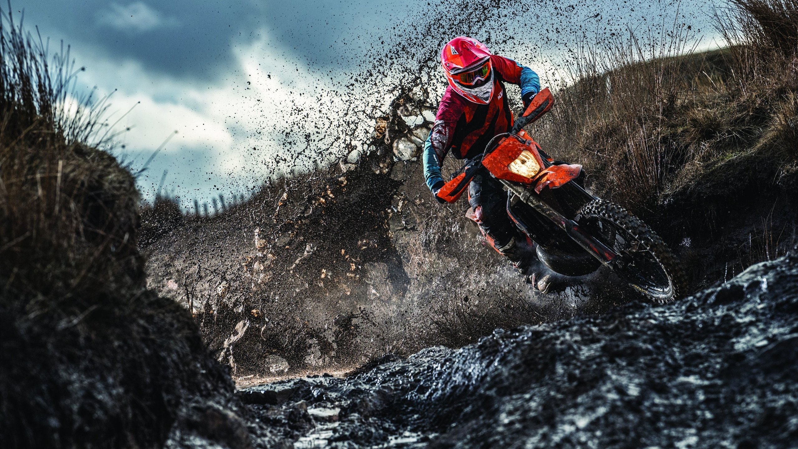 体育新闻中心联合媒体机构构建内容共创体系，体育媒体关系