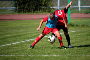 九游娱乐(jiuyou)官方网站-中国足球俱乐部与国际学校合作开展足球课程，国内足球培训基地